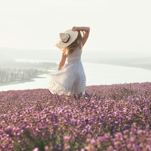 lavender-fields-Hungary